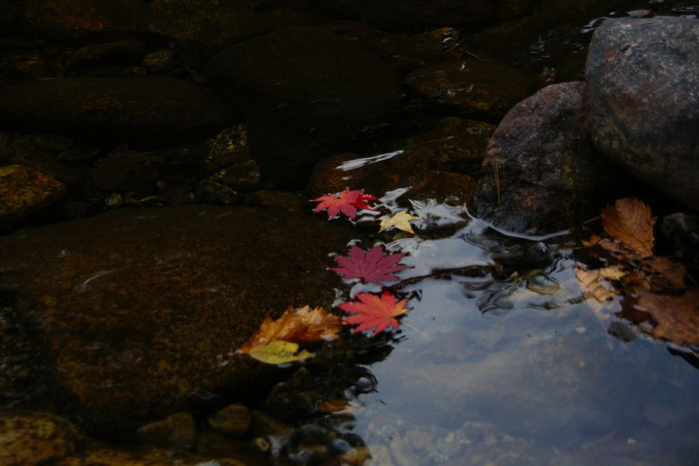 DSC.0065.JPG