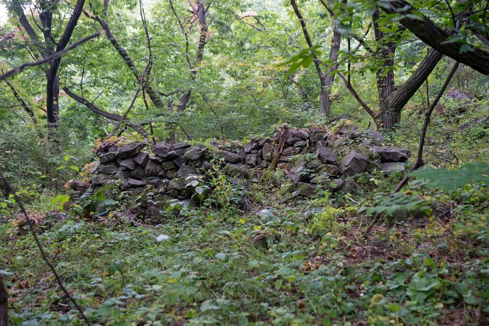 DSC04068.jpg