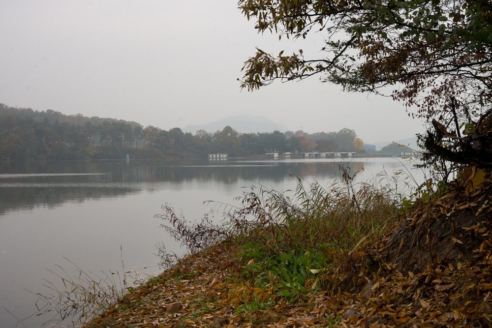 DSC09165.jpg