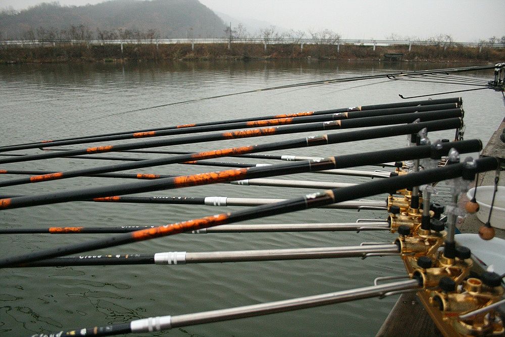 39.jpg
