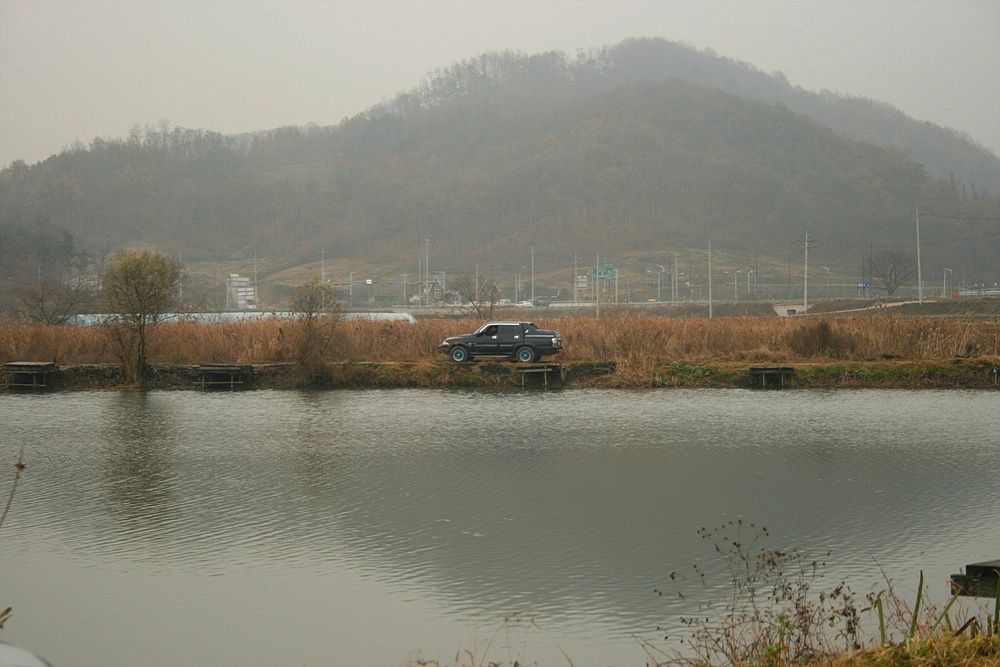 78.jpg