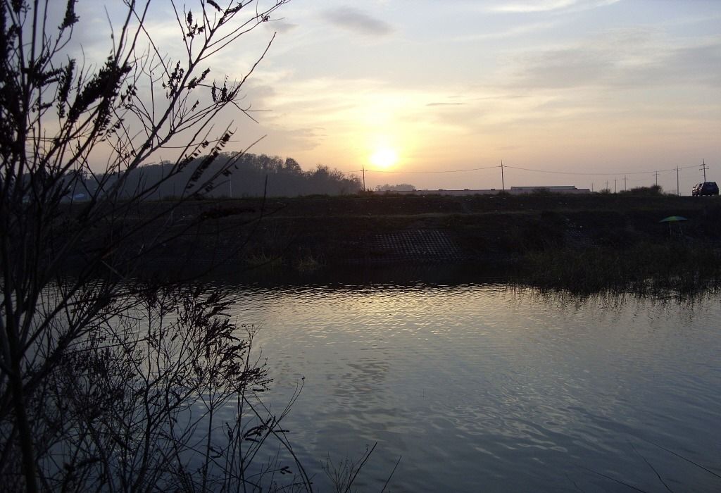 61.jpg