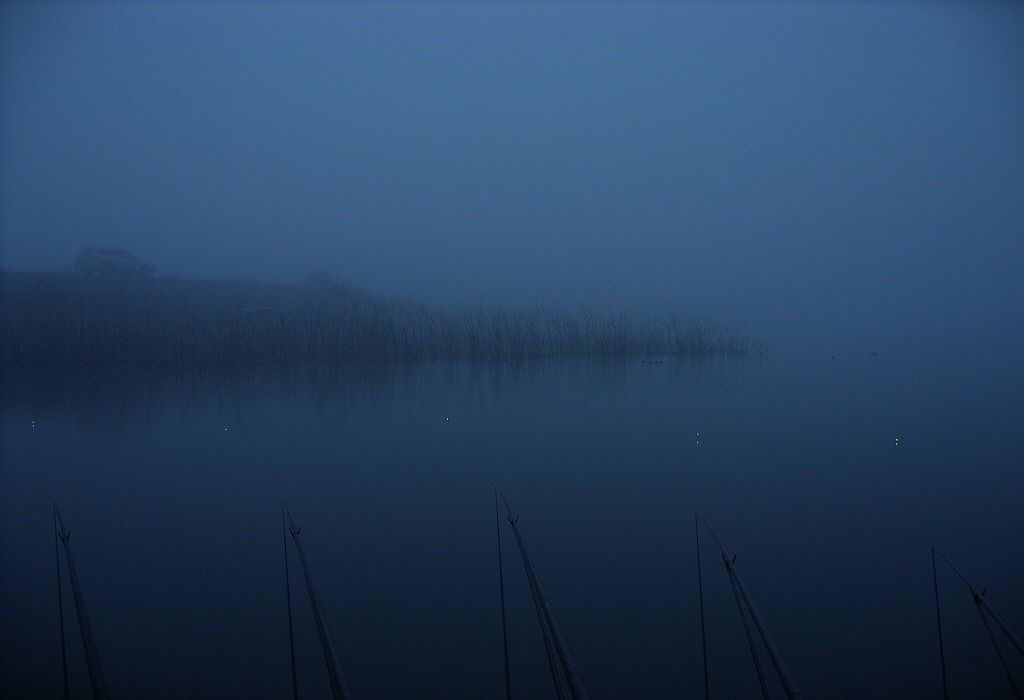 70.jpg