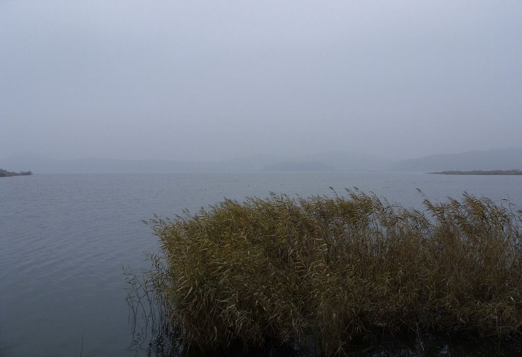 85.jpg