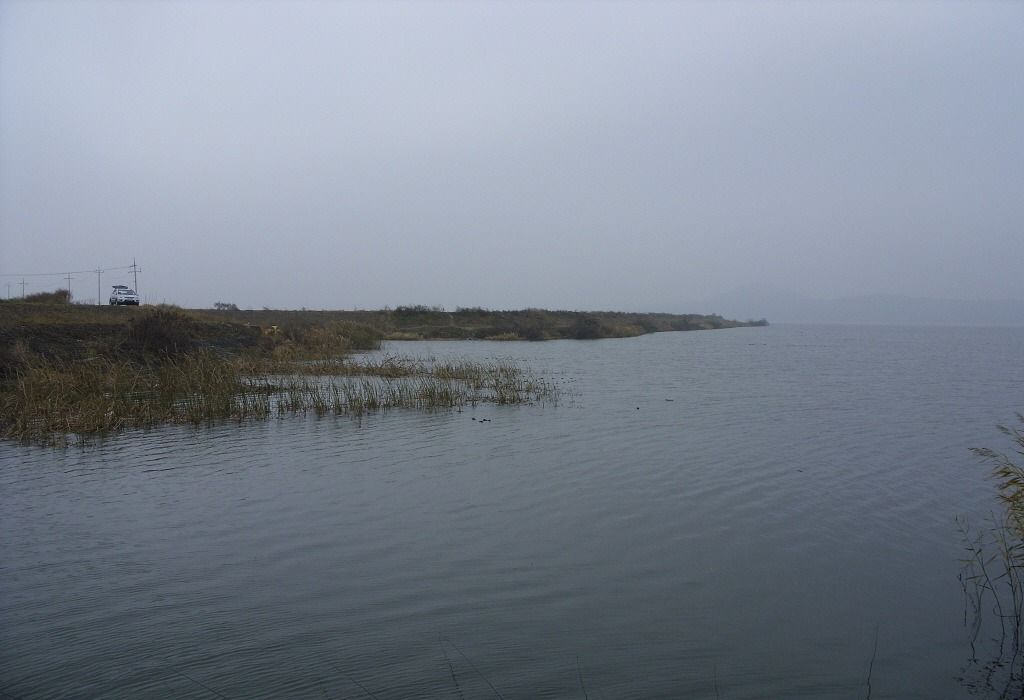 84.jpg