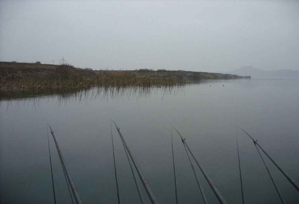 91.jpg