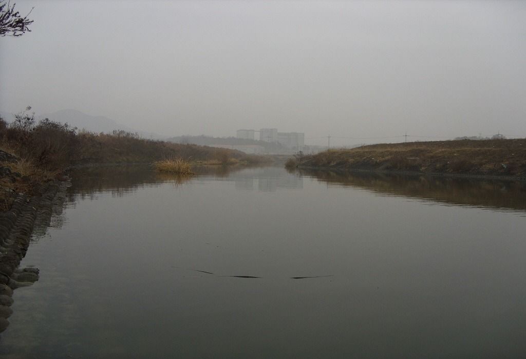 111.jpg