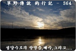 2015-564.jpg