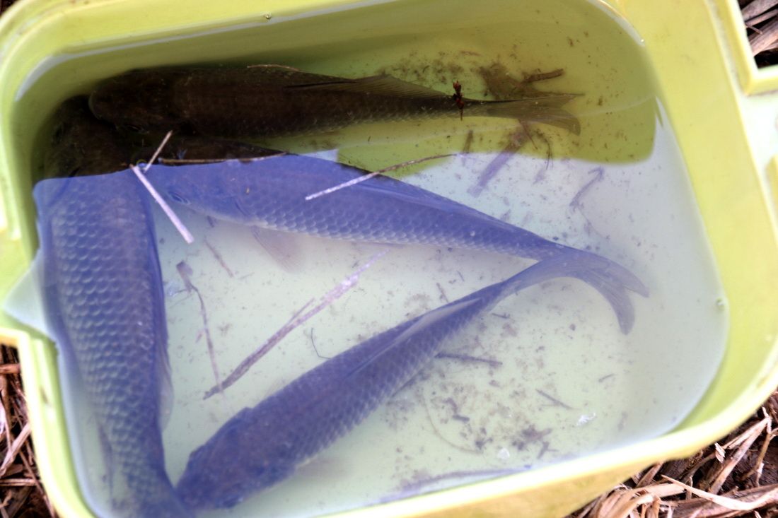 �빰����0042.jpg