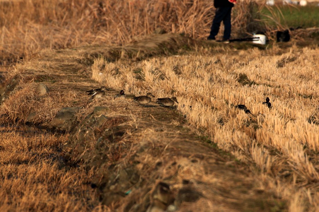 �빰����0065.jpg
