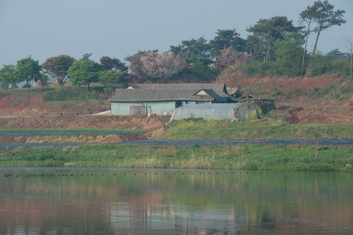 DSC03574.jpg