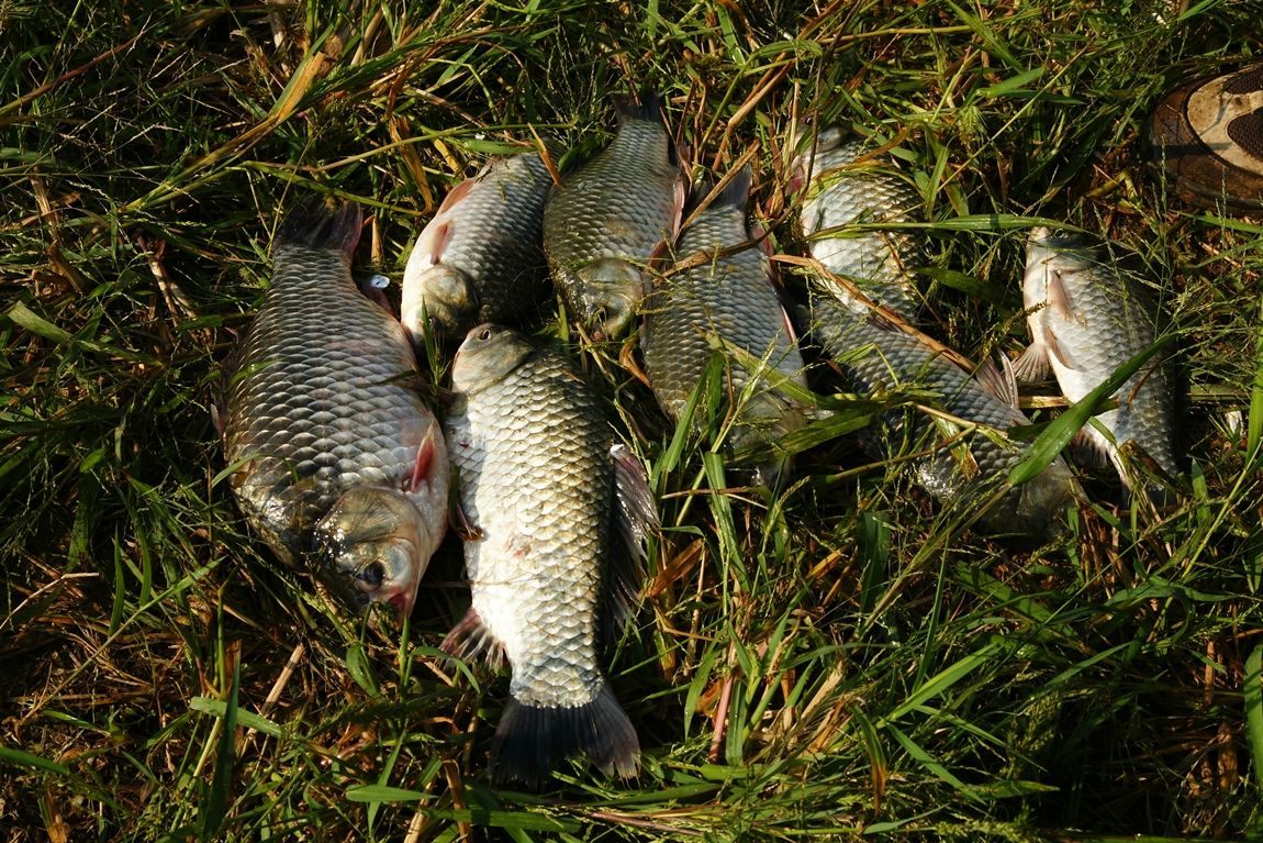 DSC01563.JPG