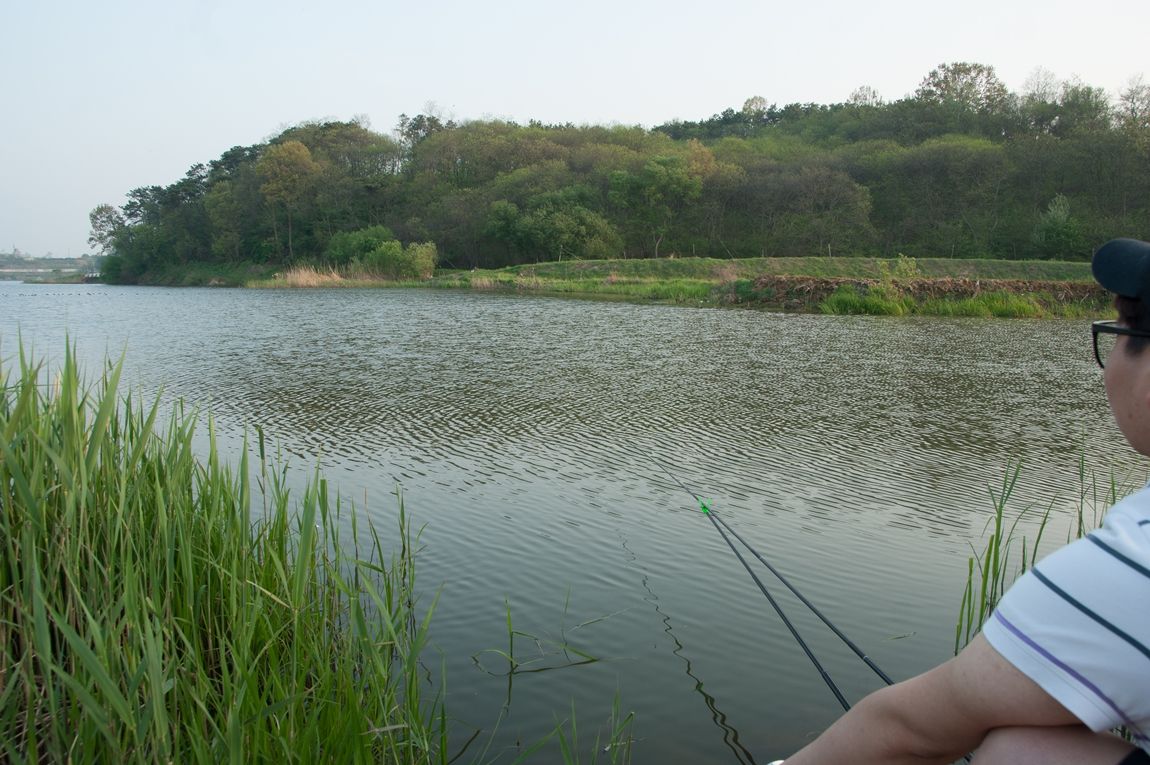 DSC09298-2.jpg