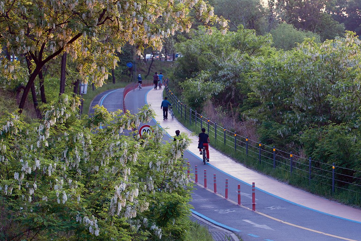 DSC05925.jpg