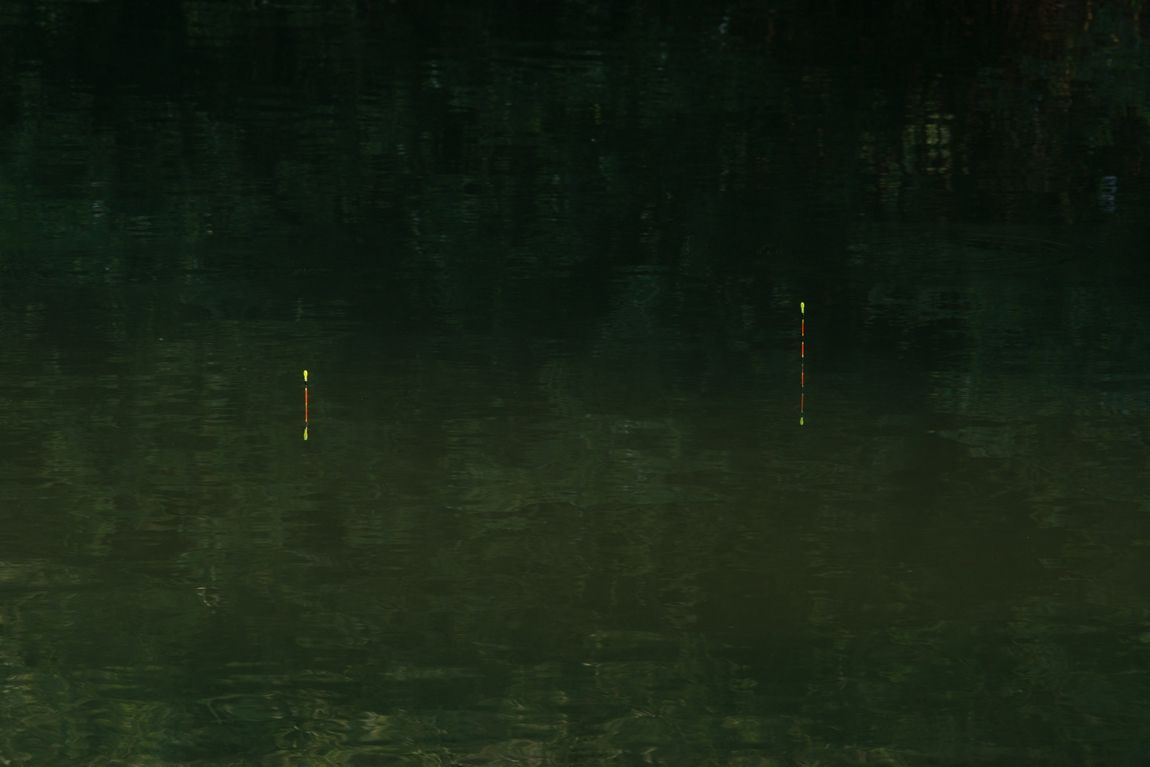 DSC08914.jpg