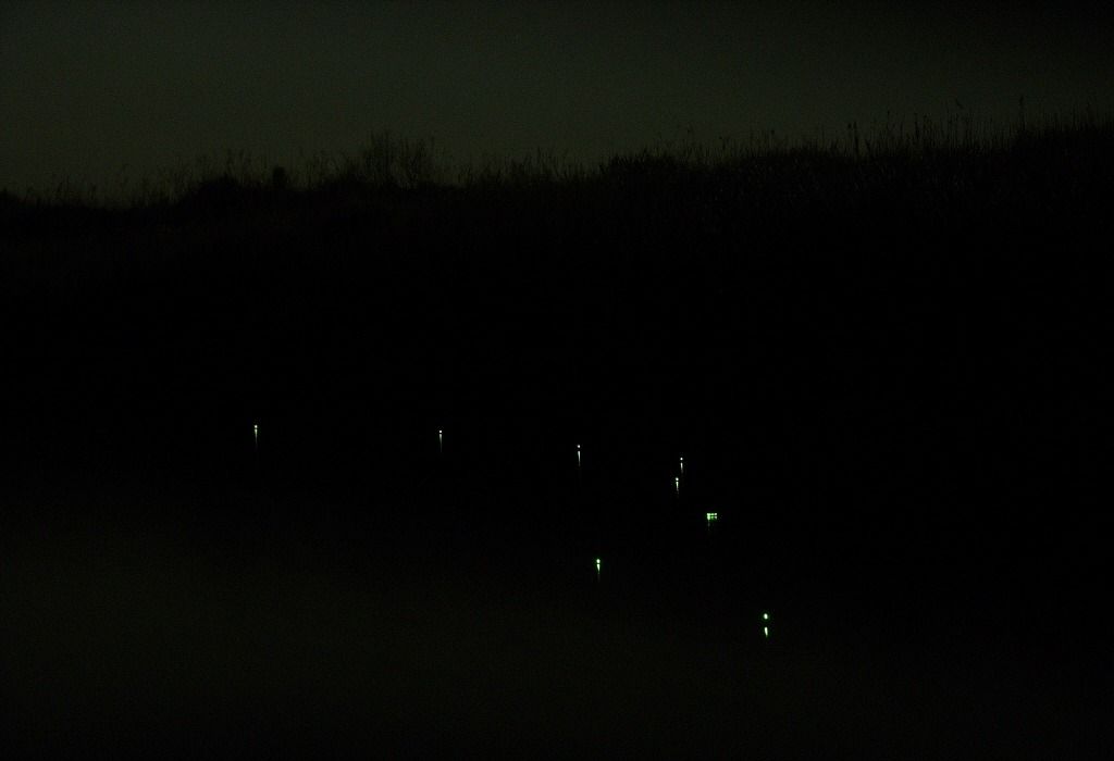 60.jpg