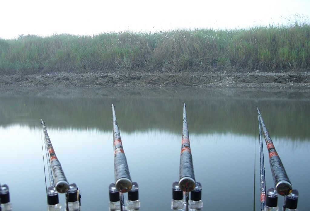 67.jpg