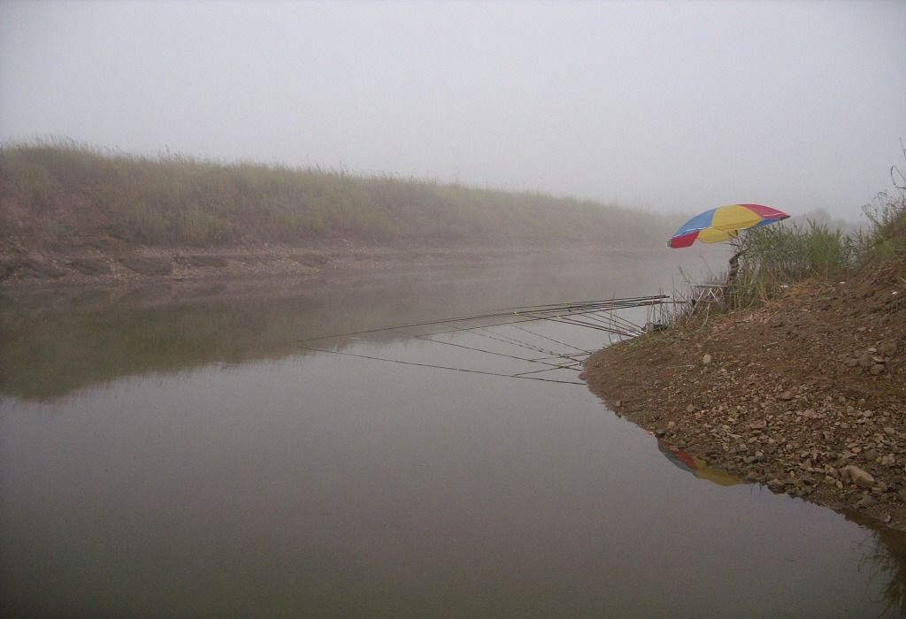 70.jpg
