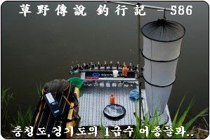 586.jpg