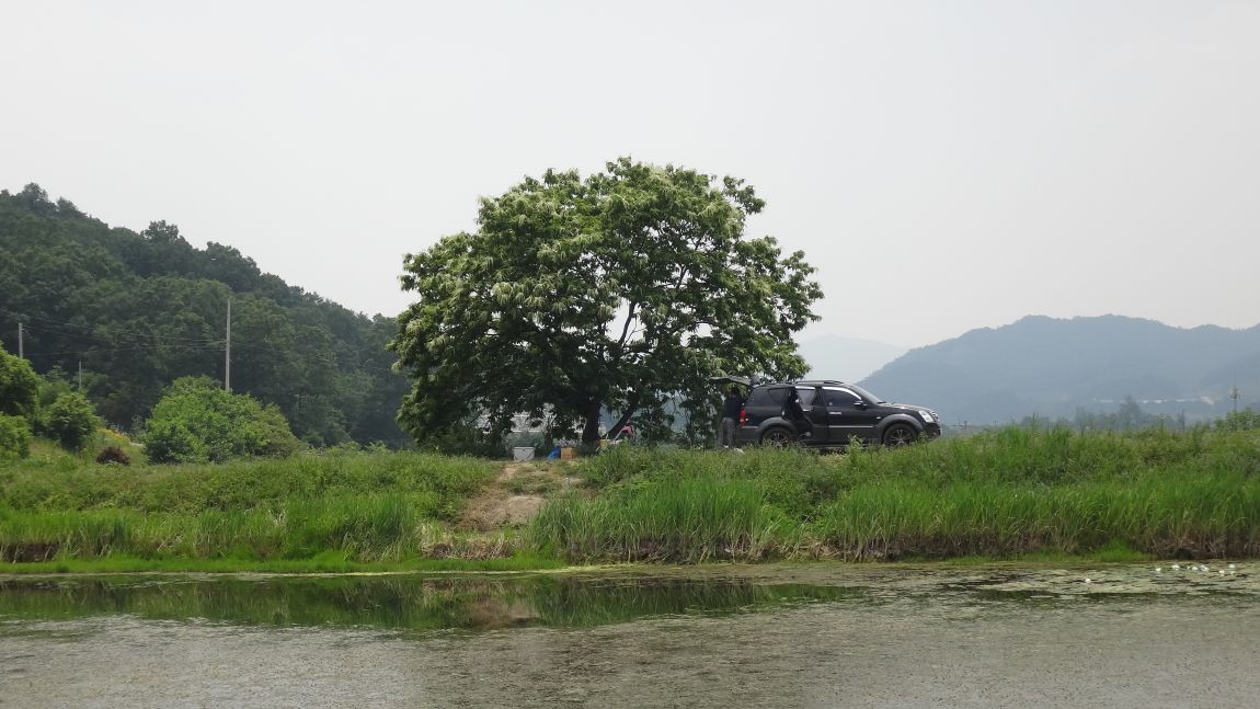 010.JPG