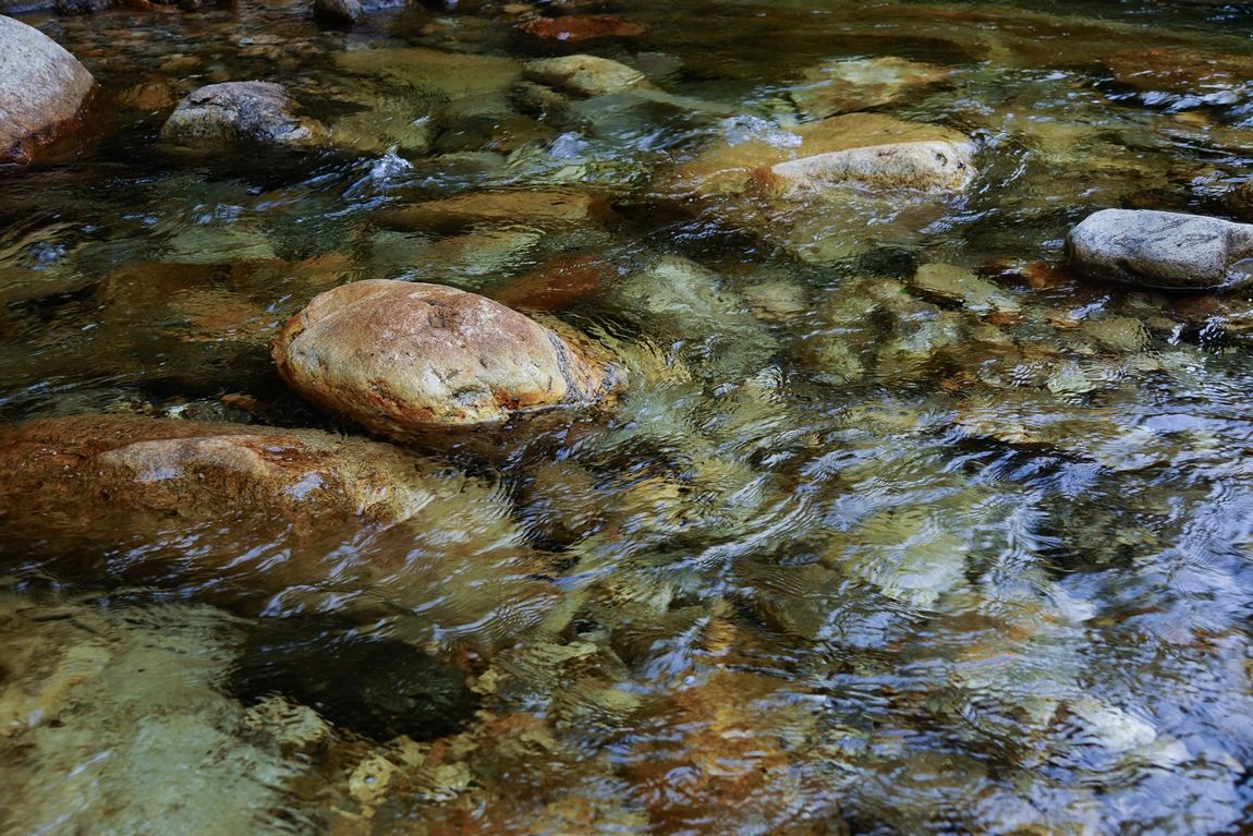 DSC09966.jpg