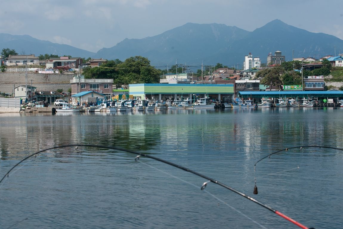 DSC02876.jpg
