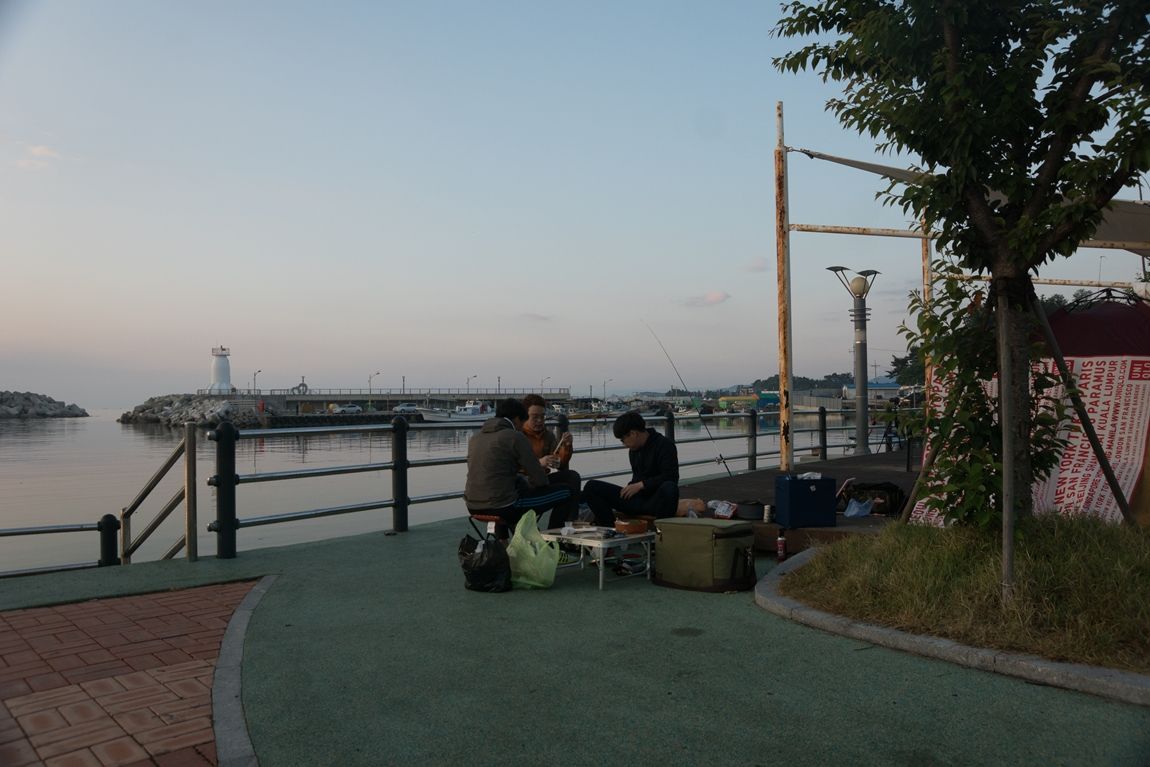 DSC09804.jpg