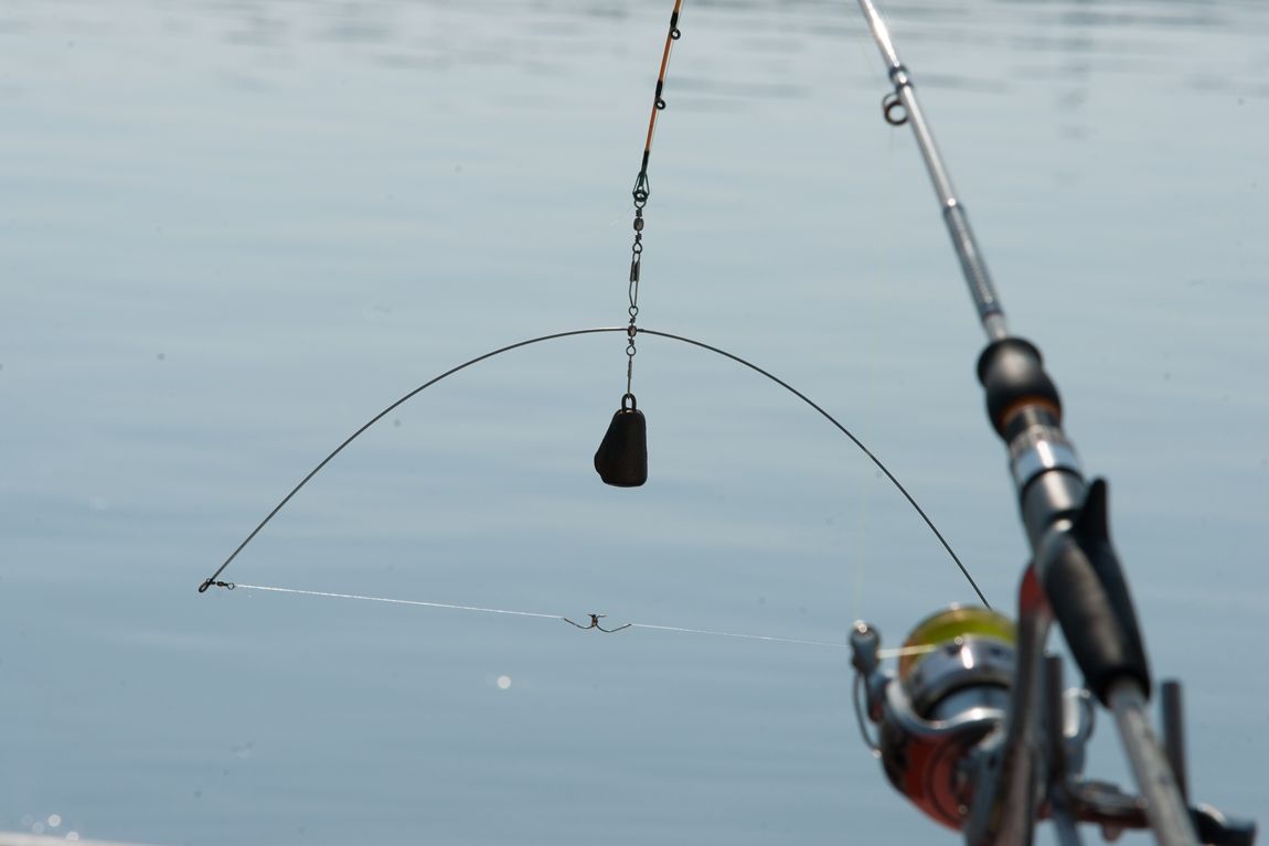 DSC02607.jpg