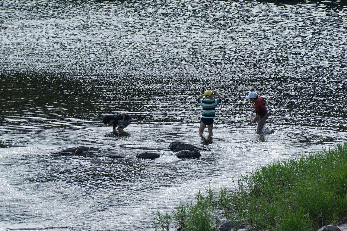 DSC00634.jpg