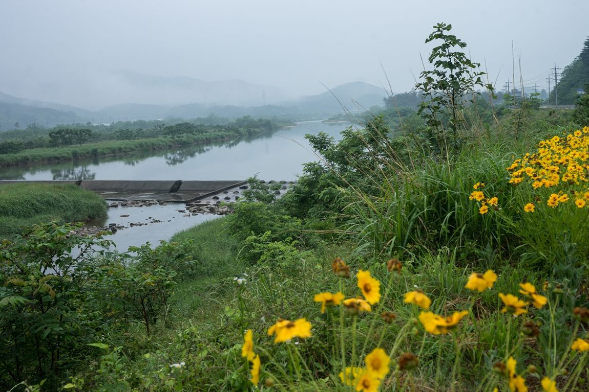 DSC00036.jpg