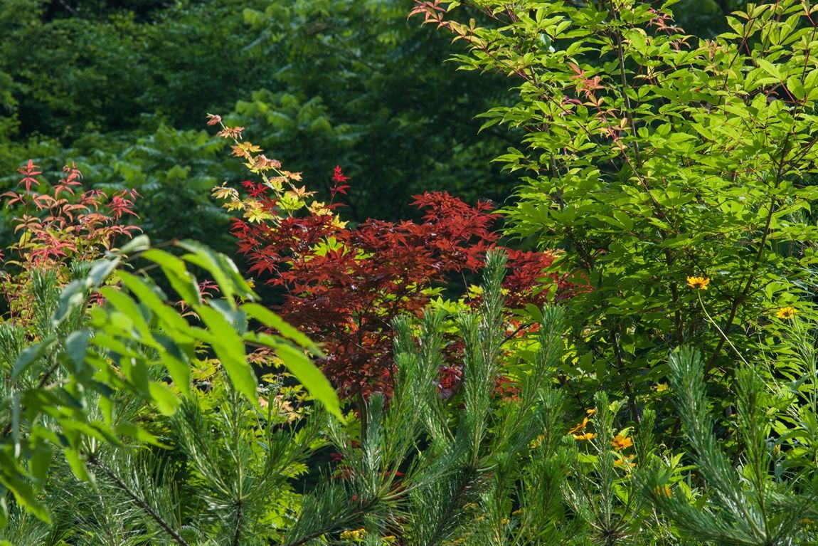 DSC08640.jpg
