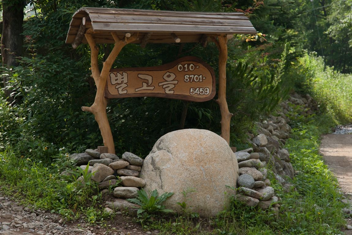 DSC08614.jpg