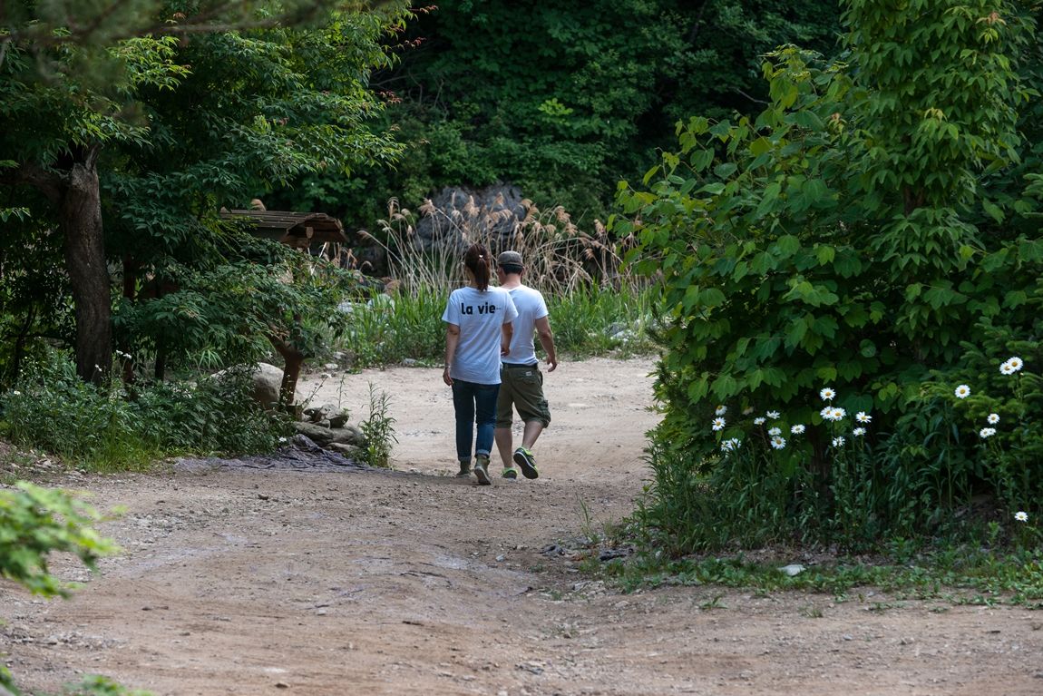 DSC02893.jpg