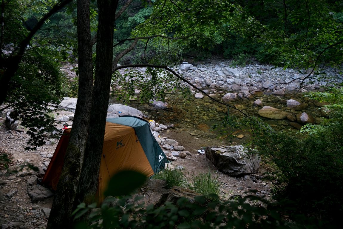 DSC04315.jpg