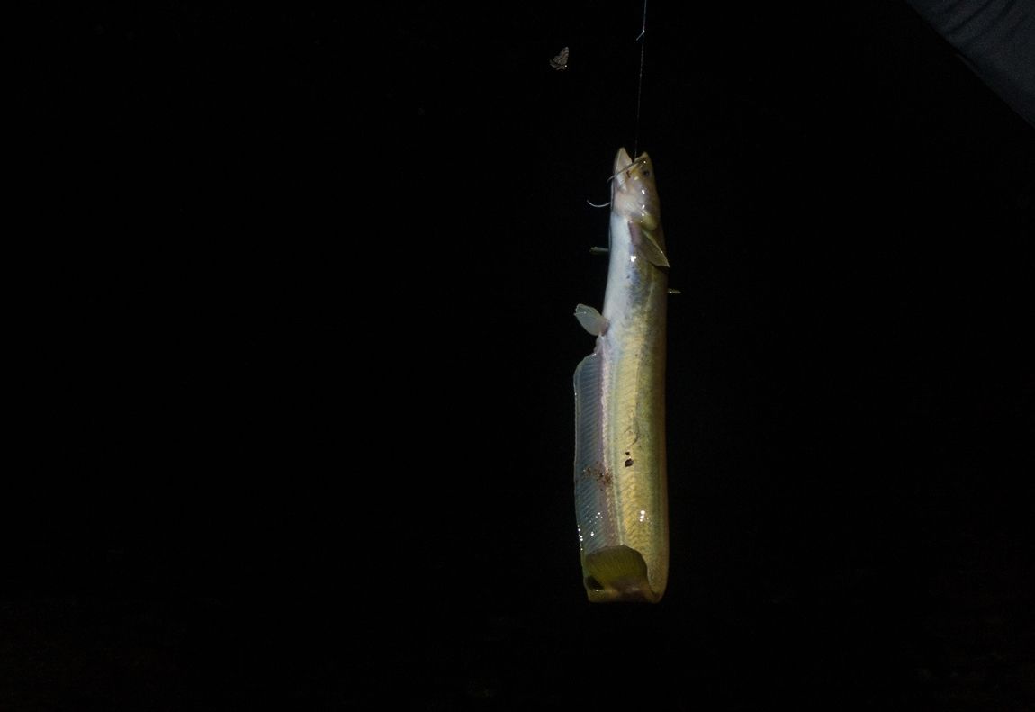 DSC05210.jpg