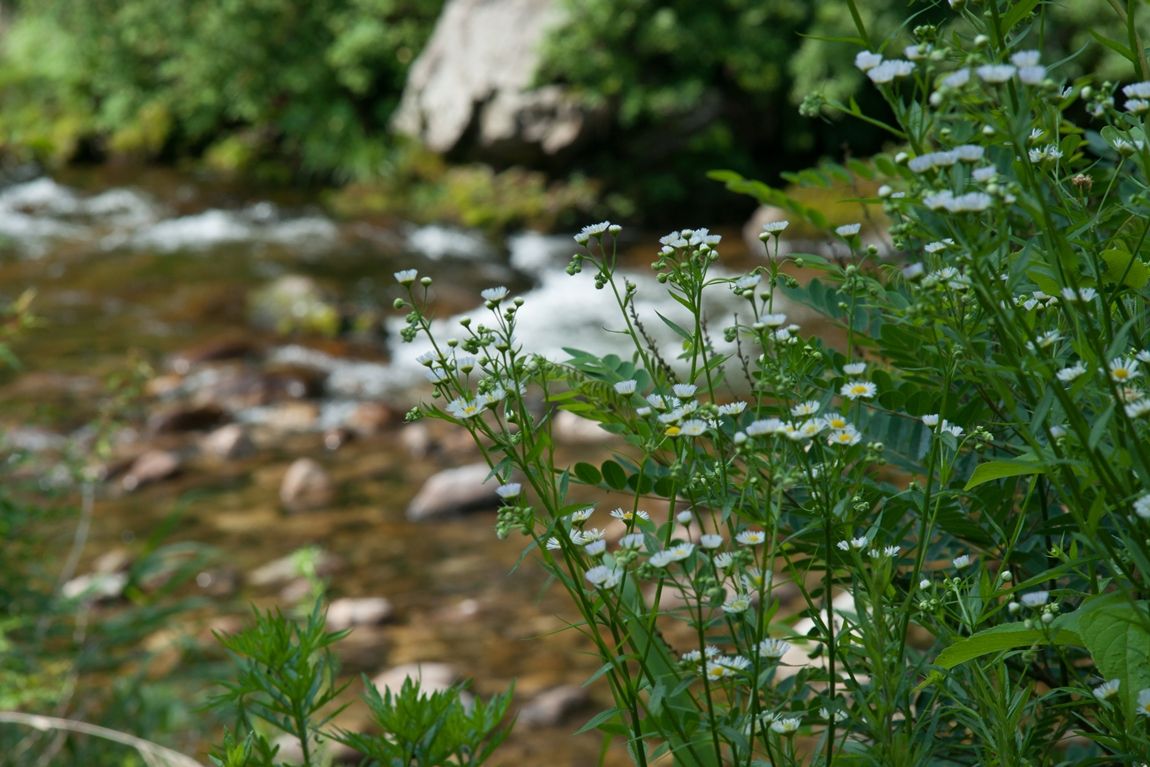 DSC08621.jpg