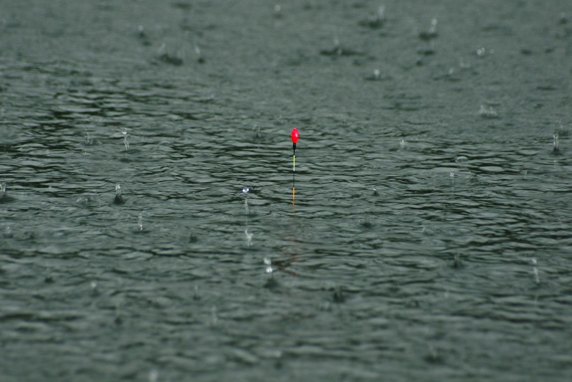 bDSC04447.jpg