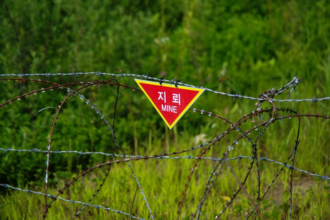 DSC04404.jpg