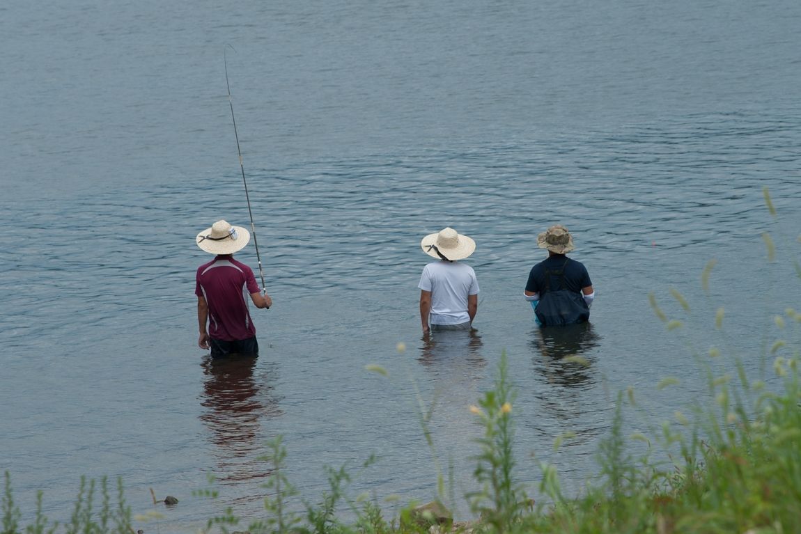 DSC03387.jpg