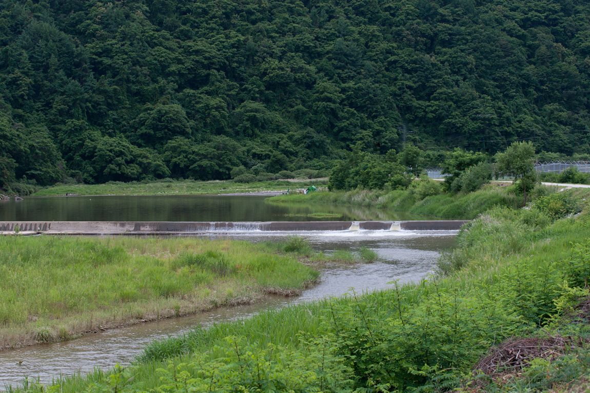 DSC04006.jpg