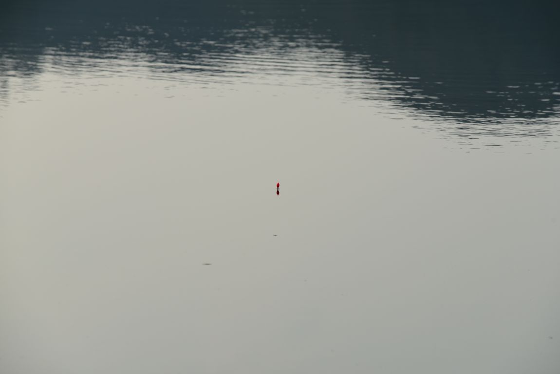ũ⺯ȯ_813ϼâ´ (28).JPG