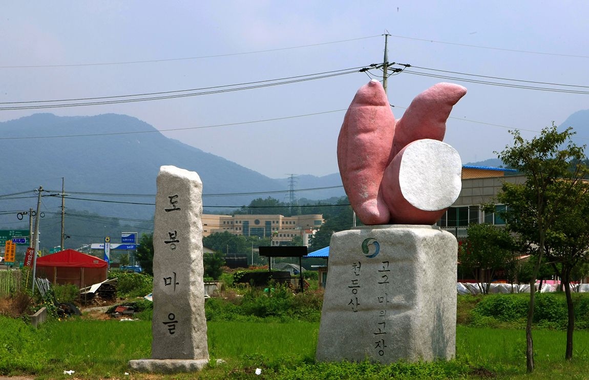 101.jpg
