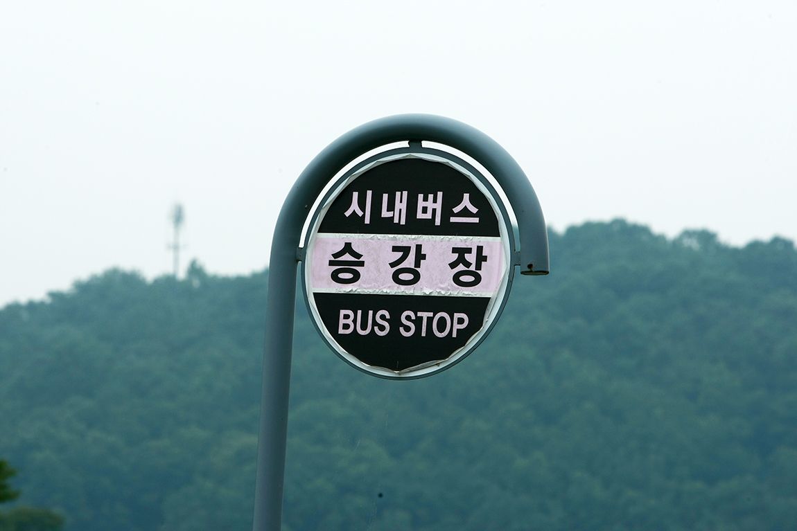 103.jpg