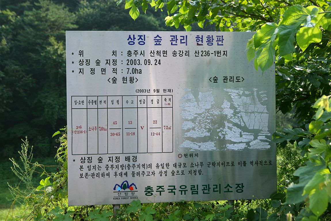 115.jpg