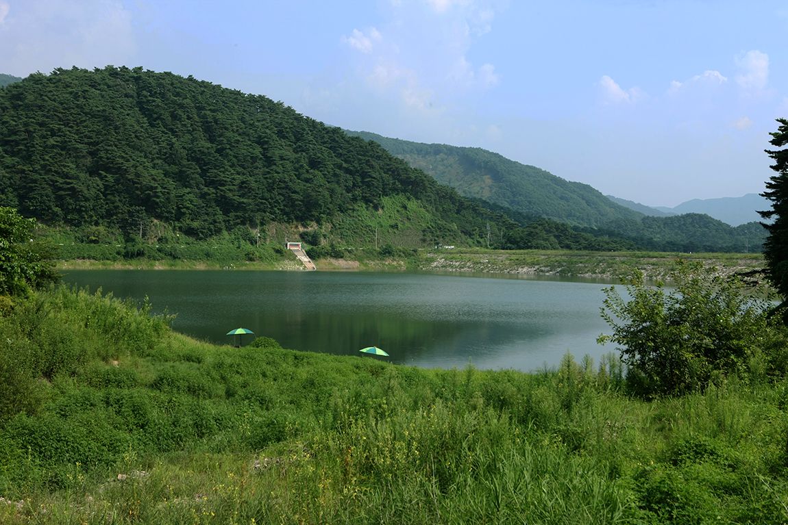 125.jpg
