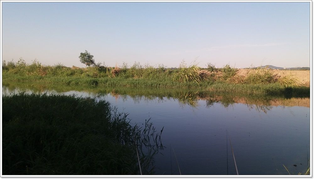 20150909_170038.jpg