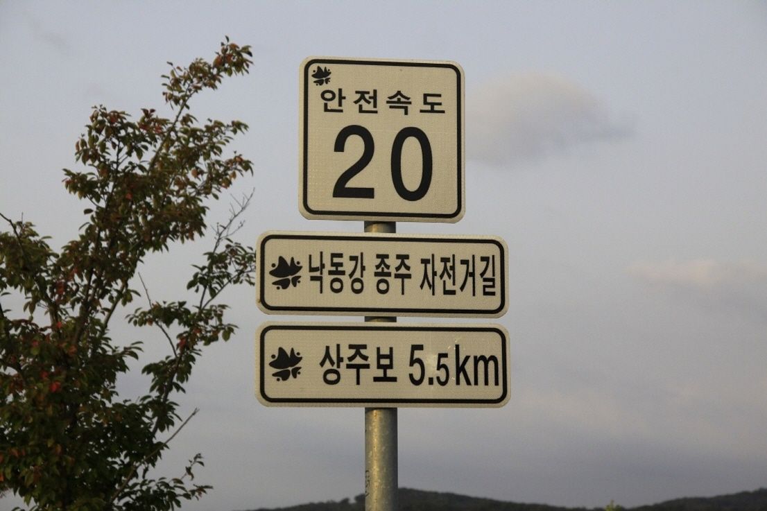 54.jpg