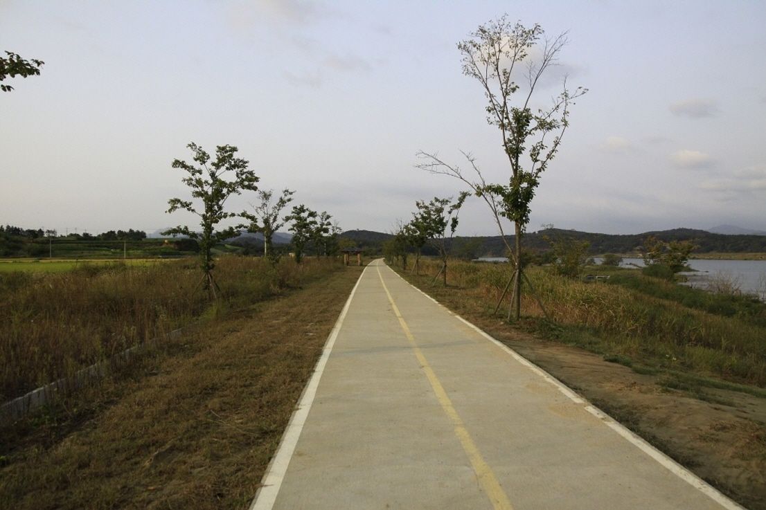 55.jpg