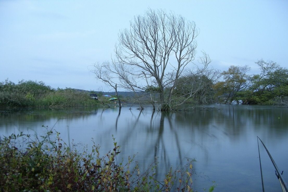 91.jpg