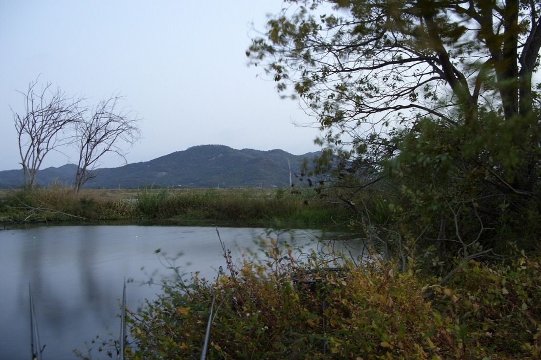 94.jpg